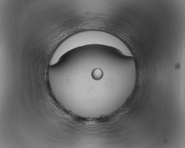 X0000115560309200911271503