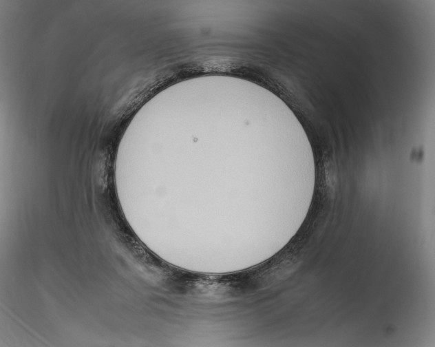 X0000115560311200911271503