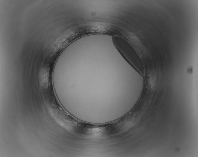 X0000115560312200911271503