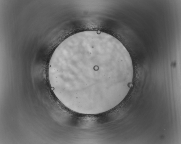 X0000115560313200911271503