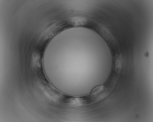 X0000115560316200911271503