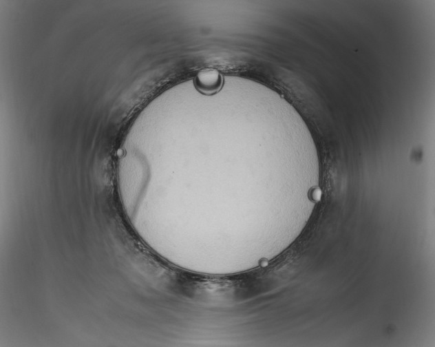 X0000115560317200911271503