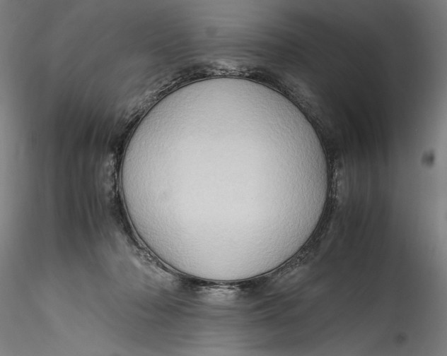 X0000115560318200911271503