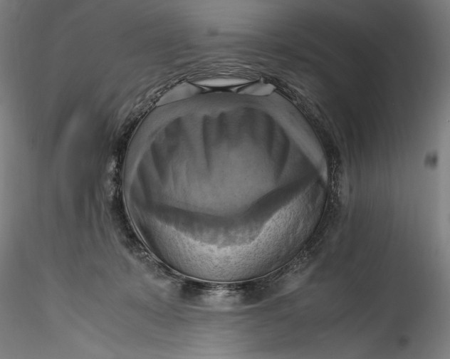 X0000115560319200911271503