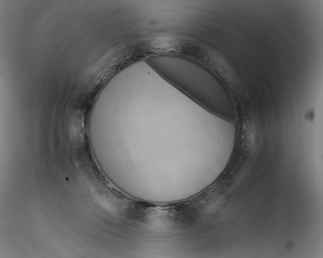 X0000115560320200911271503