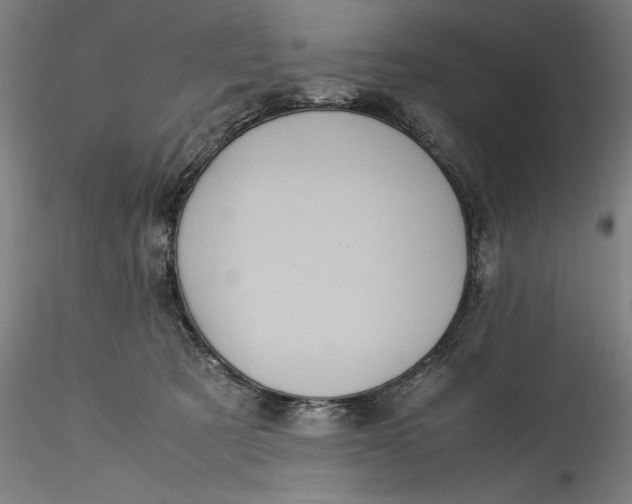 X0000115560321200911271503