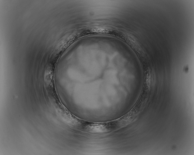 X0000115560322200911271503