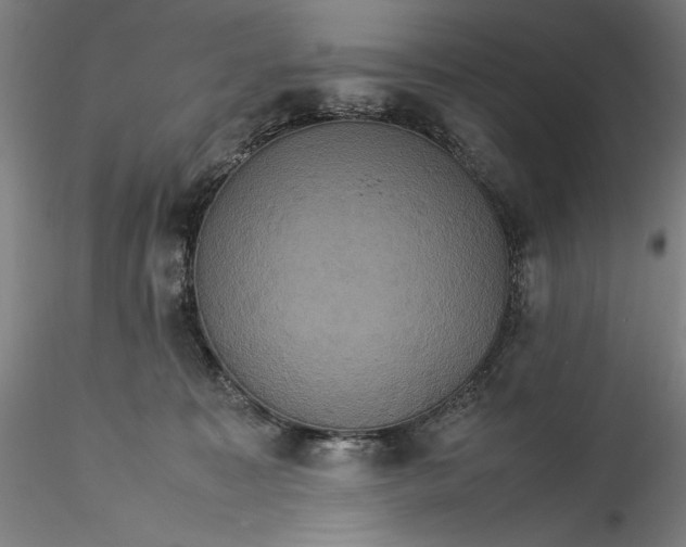 X0000115560323200911271503