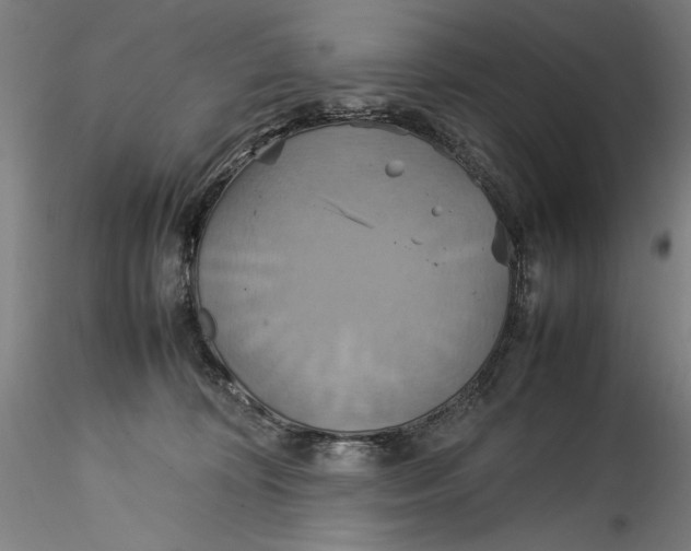 X0000115560324200911271503