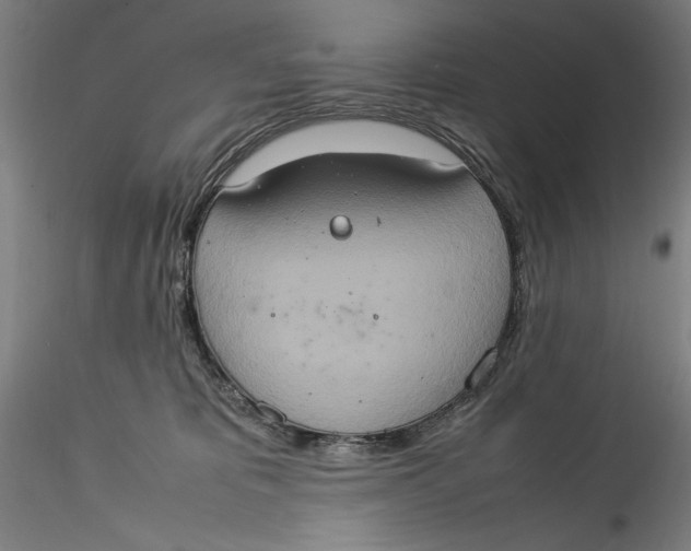 X0000115560325200911271503