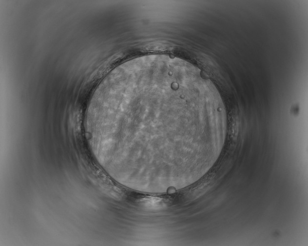 X0000115560326200911271503