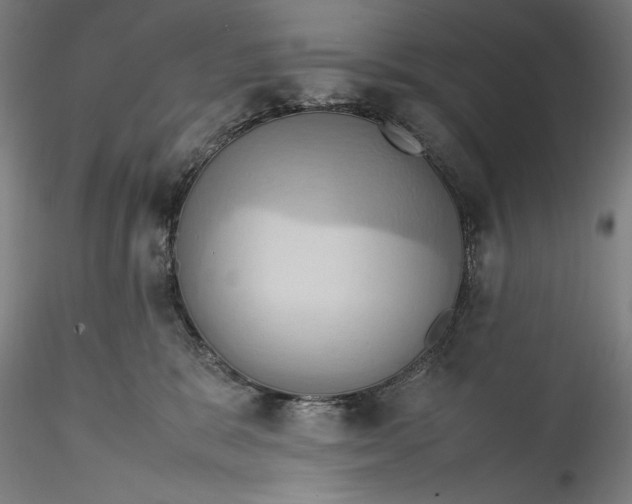 X0000115560327200911271503