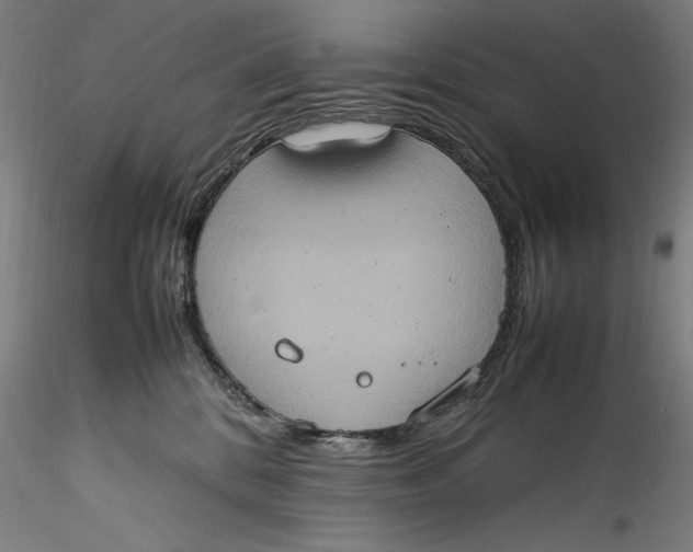 X0000115560328200911271503