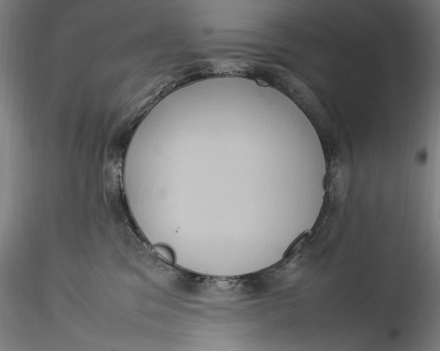 X0000115560329200911271503