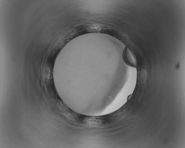 X0000115560331200911271503