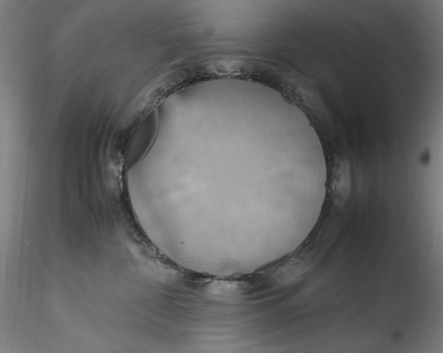 X0000115560332200911271502