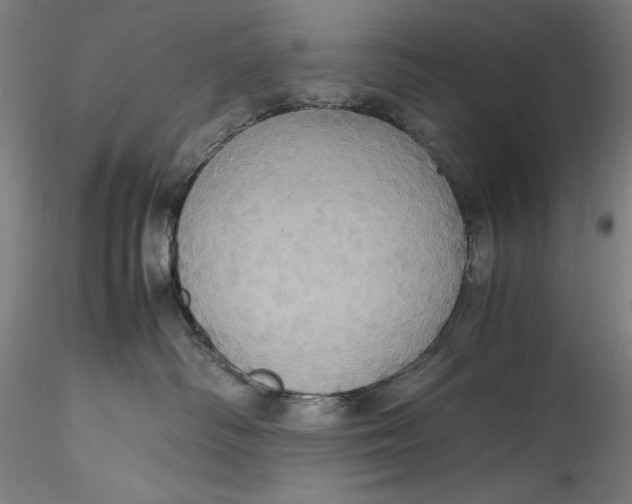 X0000115560334200911271502