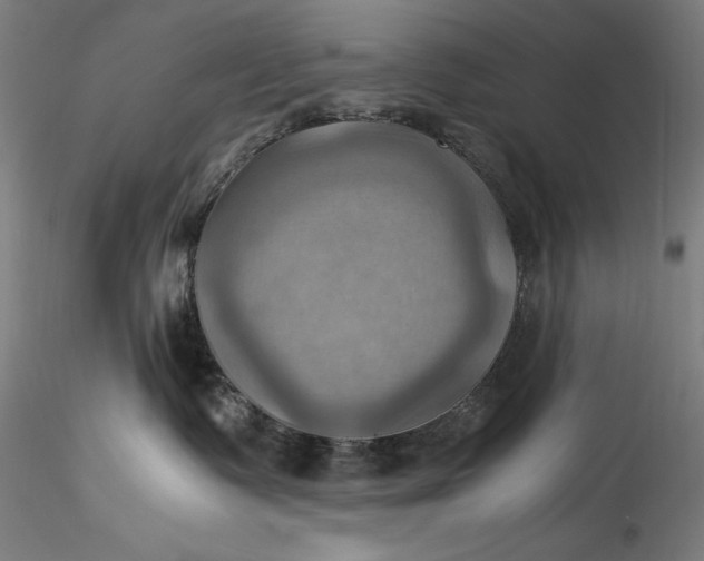 X0000115560335200911271502