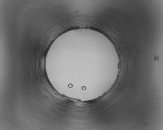 X0000115560336200911271502