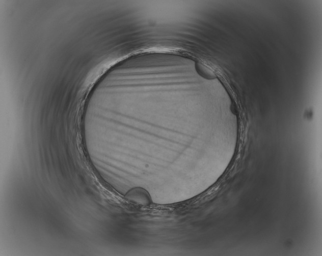 X0000115560337200911271502