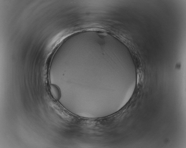 X0000115560339200911271502