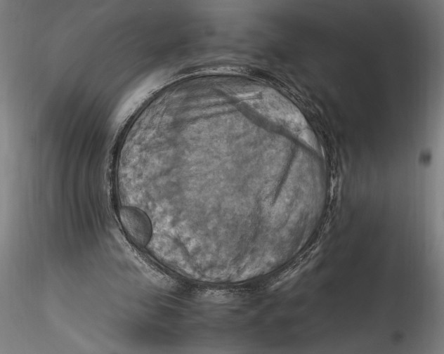 X0000115560341200911271502