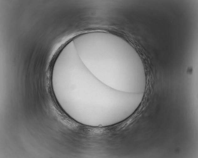 X0000115560342200911271502