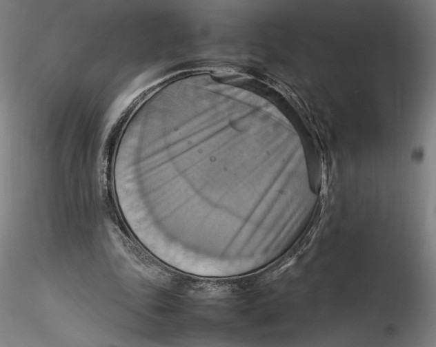 X0000115560343200911271502