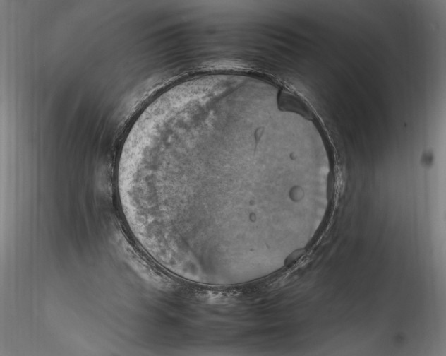 X0000115560345200911271502