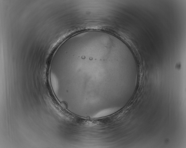 X0000115560346200911271502