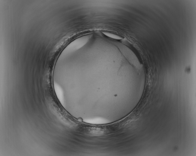 X0000115560347200911271502