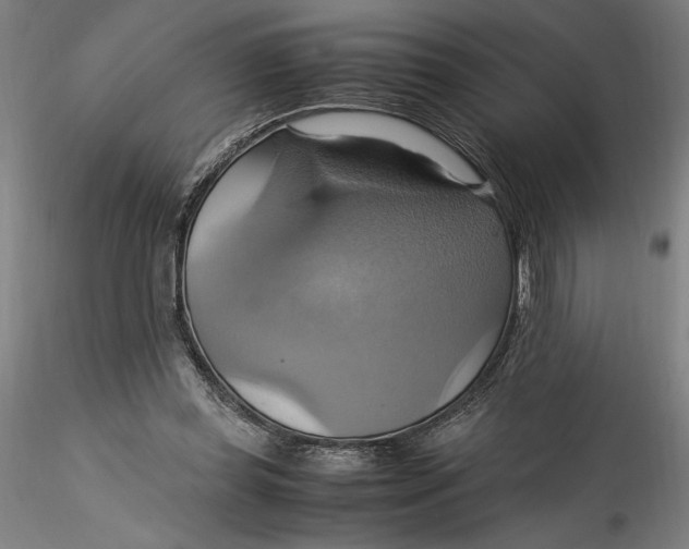 X0000115560349200911271502