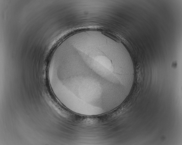 X0000115560350200911271502