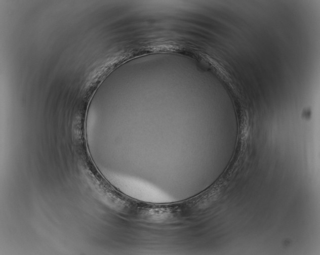 X0000115560353200911271502