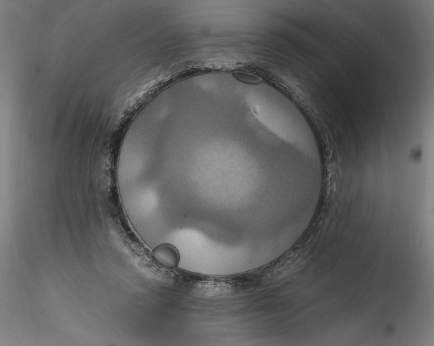 X0000115560354200911271502