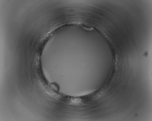 X0000115560355200911271502