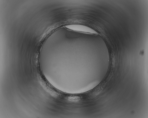 X0000115560357200911271502