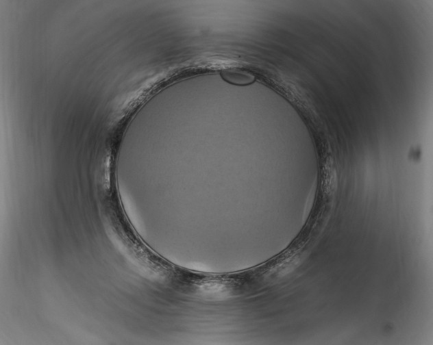 X0000115560358200911271502