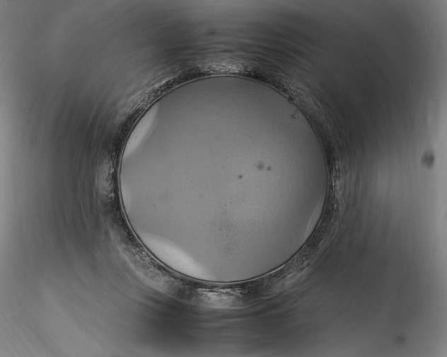 X0000115560359200911271502