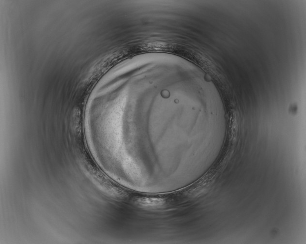 X0000115560361200911271502