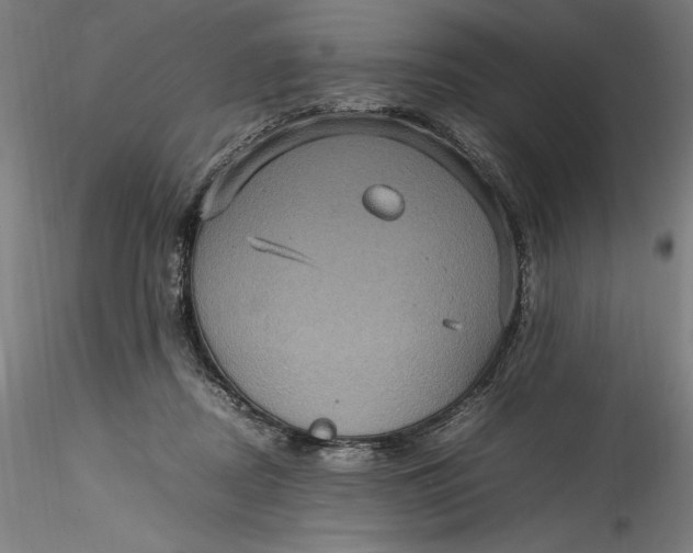 X0000115560362200911271502