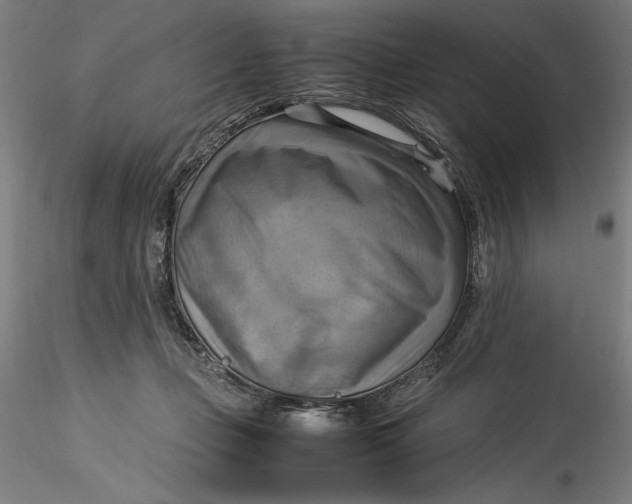 X0000115560365200911271502