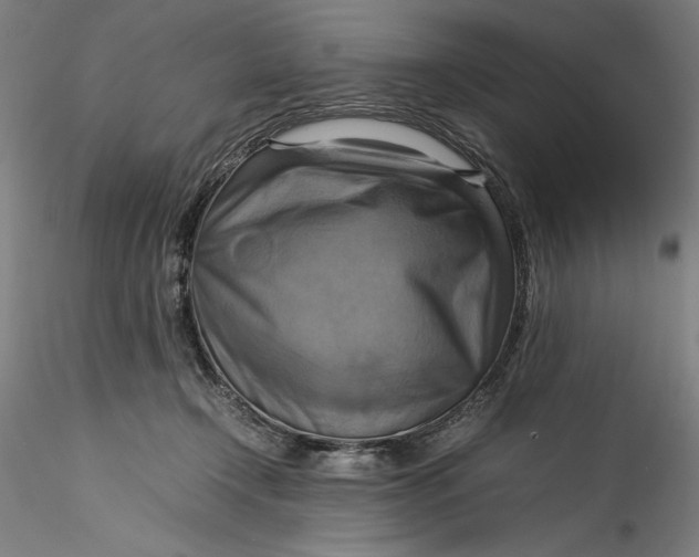 X0000115560366200911271502