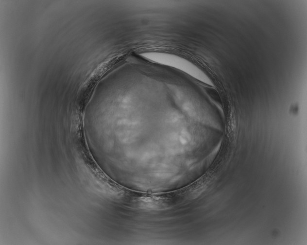 X0000115560367200911271502