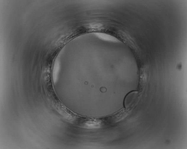 X0000115560369200911271502