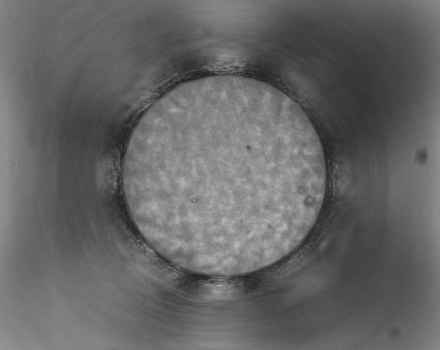 X0000115560370200911271502