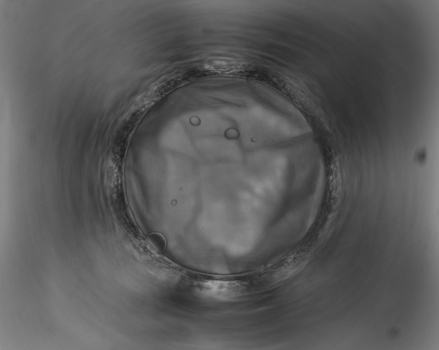 X0000115560371200911271502