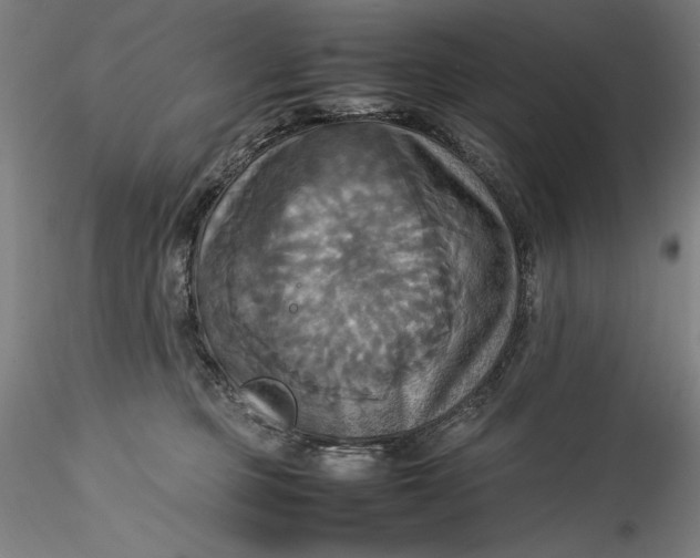 X0000115560373200911271502