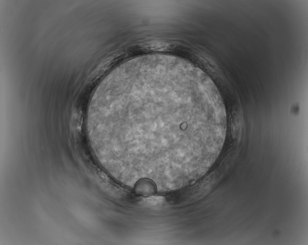 X0000115560374200911271502