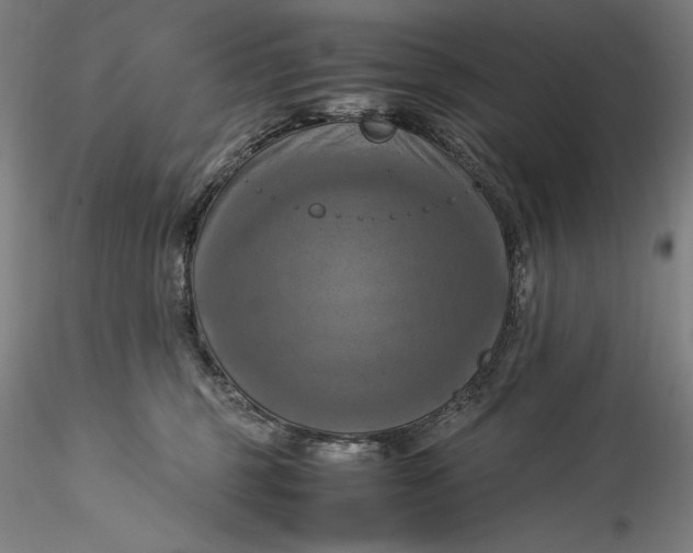 X0000115560375200911271502